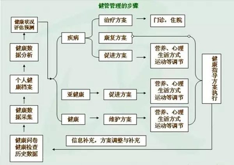 企业健康管理：守护员工健康的秘密武器